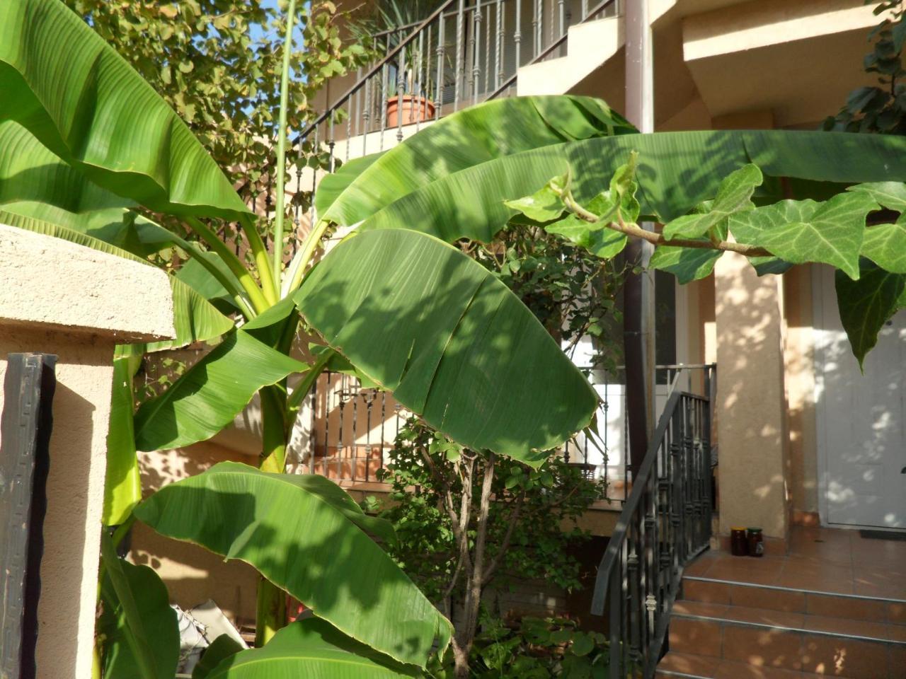 Misko'S Guest House Skopje Ngoại thất bức ảnh